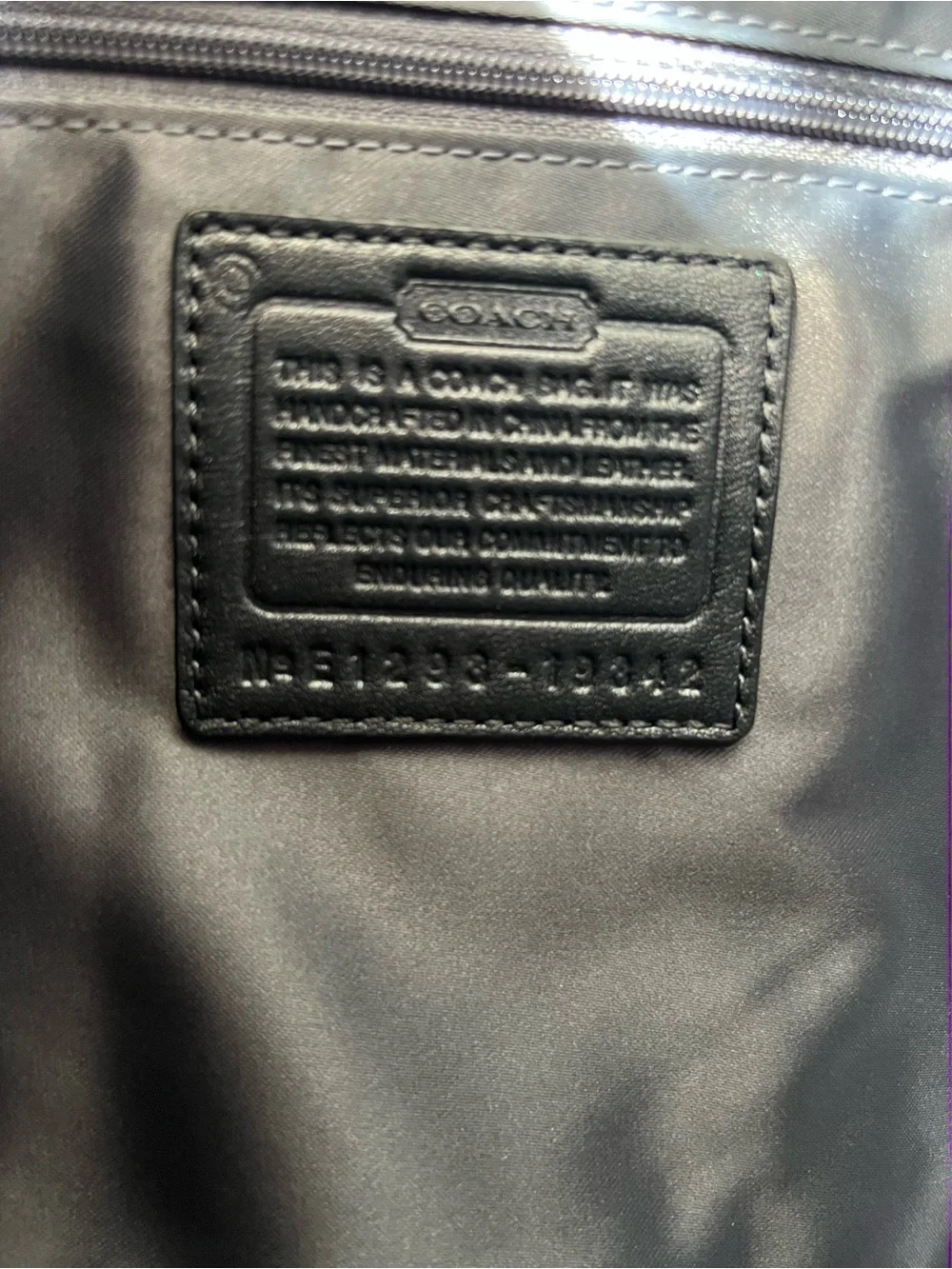Coach Kristin Gray Python-Embossed  Bag with Silver Hardware F12938